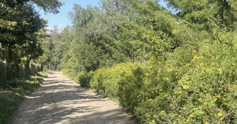 Naromoru Neighborhood Walking Trails