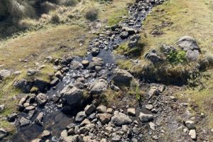 stream