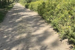 Things to do in Naromoru - Nanyuki Nature walks